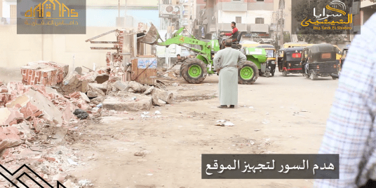Saraya El Shshyiny work progress