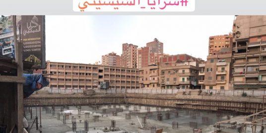 Saraya El Shshyiny work progress