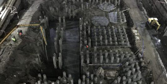 Saraya El Shshyiny work progress